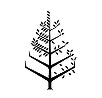 Four Seasons Hotel Mexico City Logo